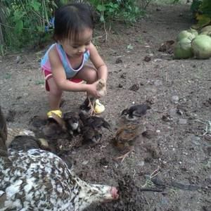 Meet your Posher, Venson